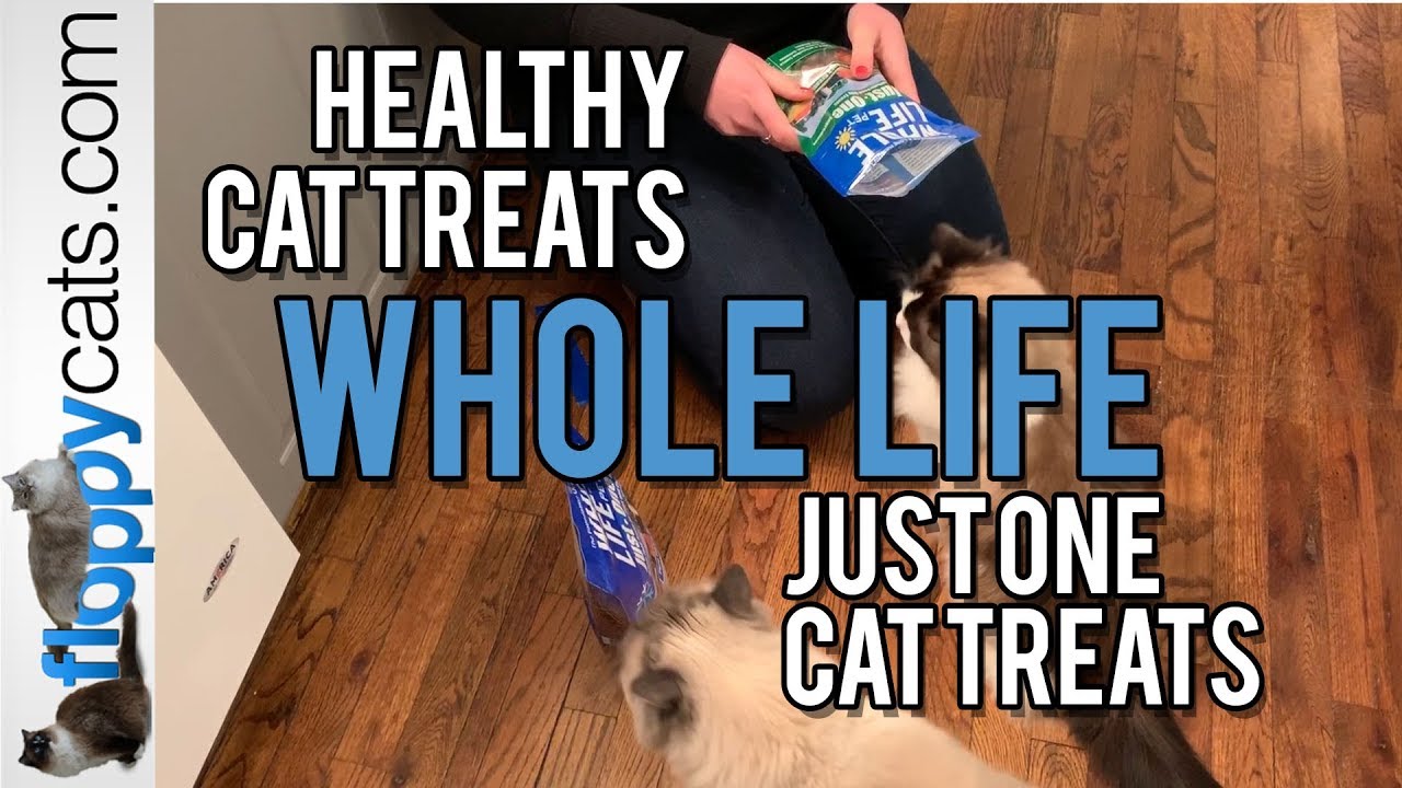 Healthy Cat Treats Whole Life Just One Cat Treats Ragdoll Cats Get