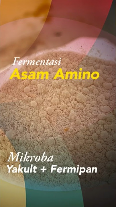 Fermentasi Asam Amino menggunakan Yakult dan Fermipan
