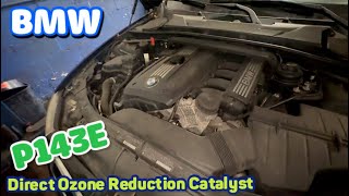 Celebrity 2010 BMW p143E Direct ozone reduction catalyst temperature  sensor gradient too low Net Worth