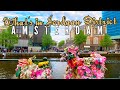 Whats in the district of jordaan amsterdam  best things to see  do travel guide