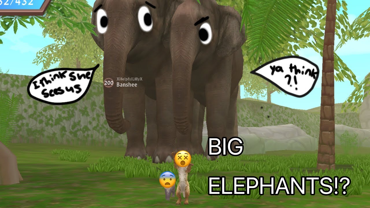 BIG ELEPHANTS ON WILDCRAFT!? YouTube