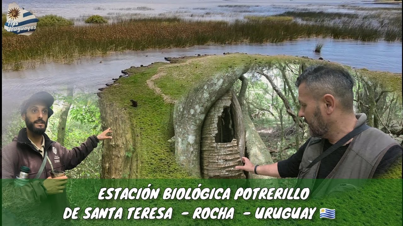 ESTACIÓN BIOLÓGICA POTRERILLO DE SANTA TERESA - ROCHA - URUGUAY 🇺🇾  PRIMER ÁREA PROTEGIDA DEL PAÍS .
