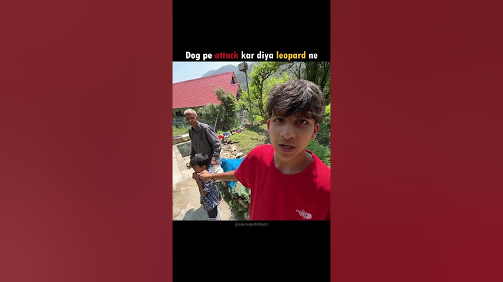 Dog pe attack kar diya leopard ne😮