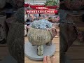 다육천하tv9월15일일요일오후7시실방❤️#다육 #flowers #plants #succulents #다육이 #다육이키우기 #多肉植物 #다육식물 #판매 #shorts