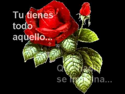 Karaoke N° 1 - Una Rosa lo sabe - YouTube