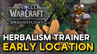 WoW Dragonflight - Herbalism Trainer Early Location AH