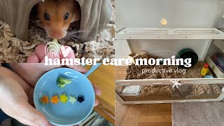 Hamster Care Morning! | Seth Hamsters