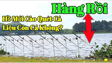 Đam Mê Câu Cá - Cận Cảnh Cá Trôi Kéo Cần Lăng Xê | Test Thín Đam Mê Câu Cá P1 | 11-6-2023