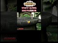 【ワリオワールド】失敗すると1分ロス
