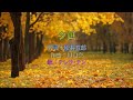 テレサ・テン - 夕凪 中譯