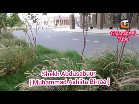 Shekh Abdusabur Shekhota Abbaaye Muhammad Ashiita Birraa
