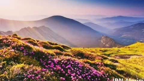 أحمد النفيس(تلاوة بغاية الخشوع) ❤️