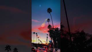 Ventura Blvd