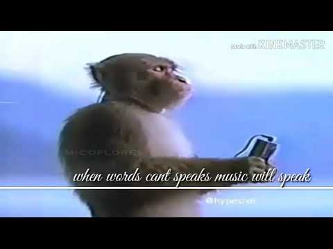Victims of love -monkey listening using walkman, Monkey Sony Walkman