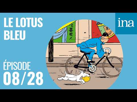 Le Lotus bleu - 08/28