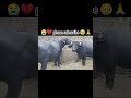 #vlog #shorts