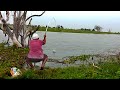 incredible Fish catching||#(part 1)||Rohu Fish catching||silver carp Fish & black Rohu Fish catching