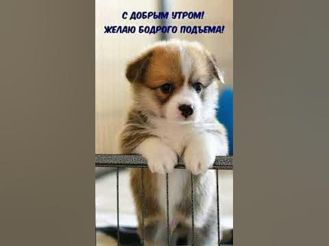 ПОЗИТИВНОГО ДОБРОГО УТРА! - YouTube