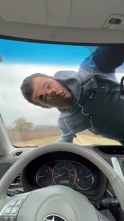 How Bugs Would Act if They Were People.