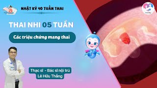 Thai 5 tuần: Các triệu chứng mang thai - Sự phát triển của thai nhi tuần thứ 5 - Bs. Lê Hữu Thắng screenshot 2