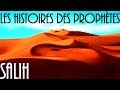 Lhistoire du prophte salih en franais vf  le peuple des thamud  vf par voix offor islam