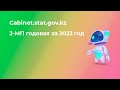 2 МП ГОДОВАЯ Стат отчет за 2022 год инструкция