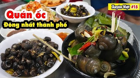 ỐC CÔ LIÊN HƠN 20 NĂM từ vỉa hè đến 3 quán ăn đông nhất nhì tp Vinh | FOOD TOUR XUYÊN VIỆT #15