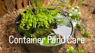 Container Pond Summer Maintenance And Care The Reckless Garden