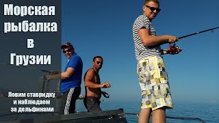 Морская рыбалка в Грузии. Ловим ставридку и наблюдаем за дельфинами.