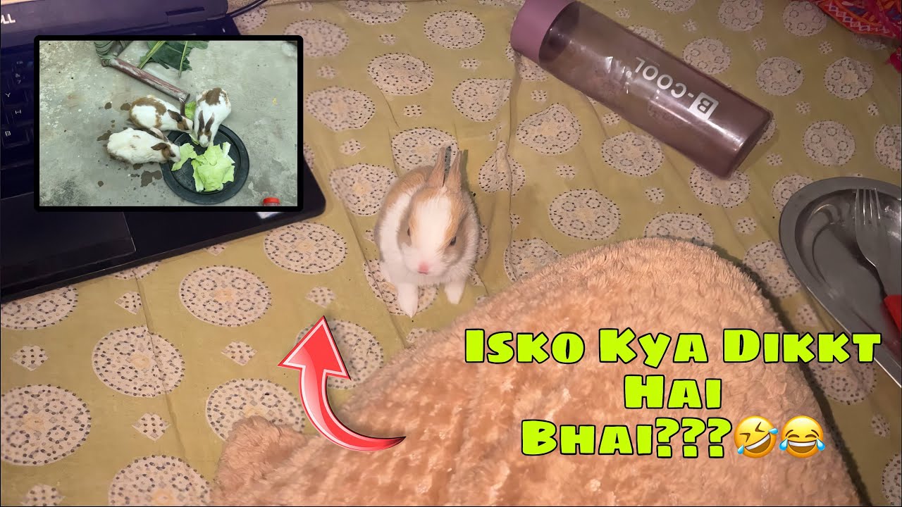 Sirf 18 Din Mein Itne Shaitaan Ho gye😂😂