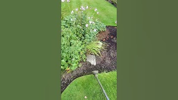 weed whack strim and lawn edge #gardentok #asmr #asmrsounds #asmrvideo #asmrgarden