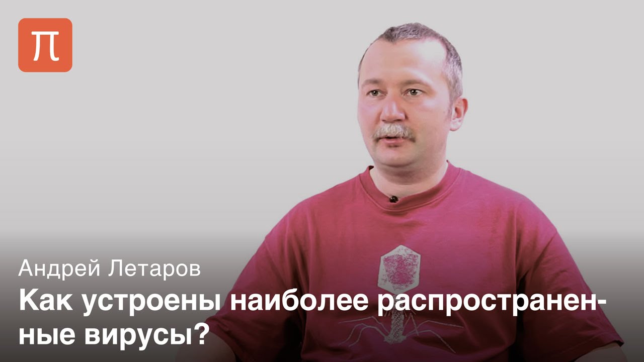 Устройство фаговых частиц - Андрей Летаров
