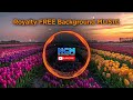 Neon Dossier  - cyber ambient OSINT underscore | Royalty Free Background Music