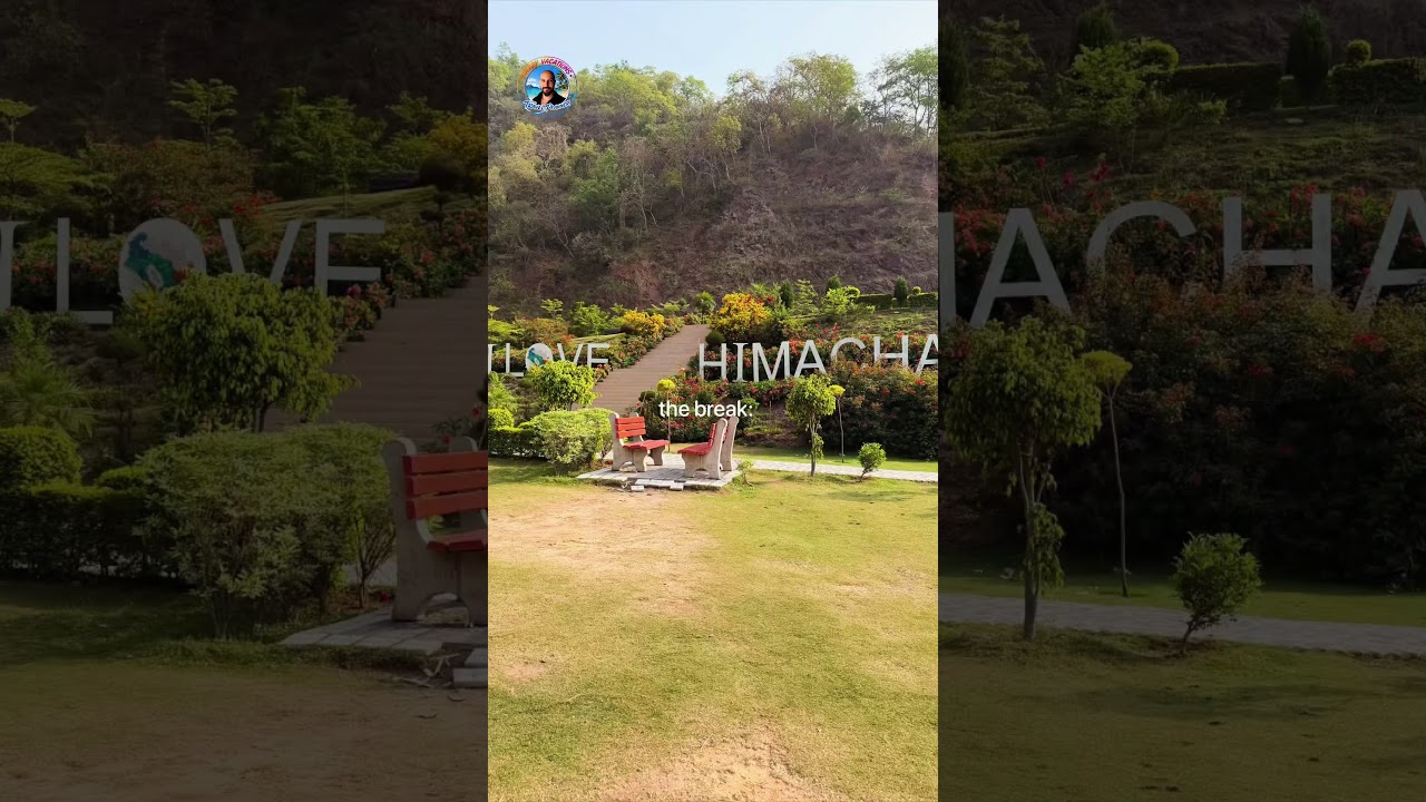 Hidden peace on Kasauli road 🌿 video #Shorts #YouTubeShorts #Viral #Trending #Travel #Himachal