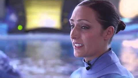 Killer Whale Trainer Holly Byrd Discusses Blackfis...