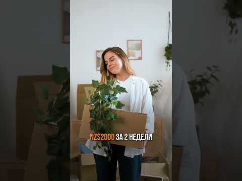 NZ$12 000 после переезда: на что уйдут деньги?