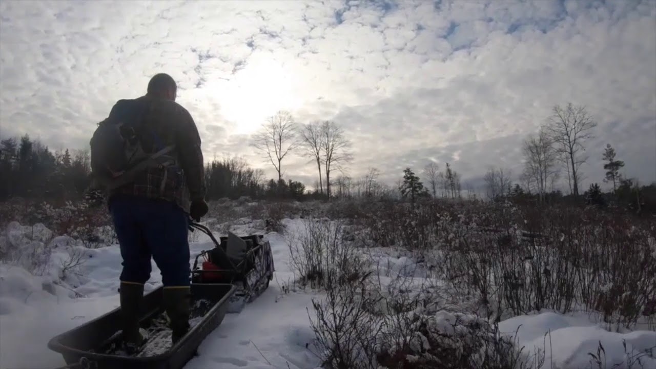 Winter Trail Grooming River Land Trust YouTube