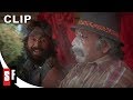 Cheech And Chongs Next Movie