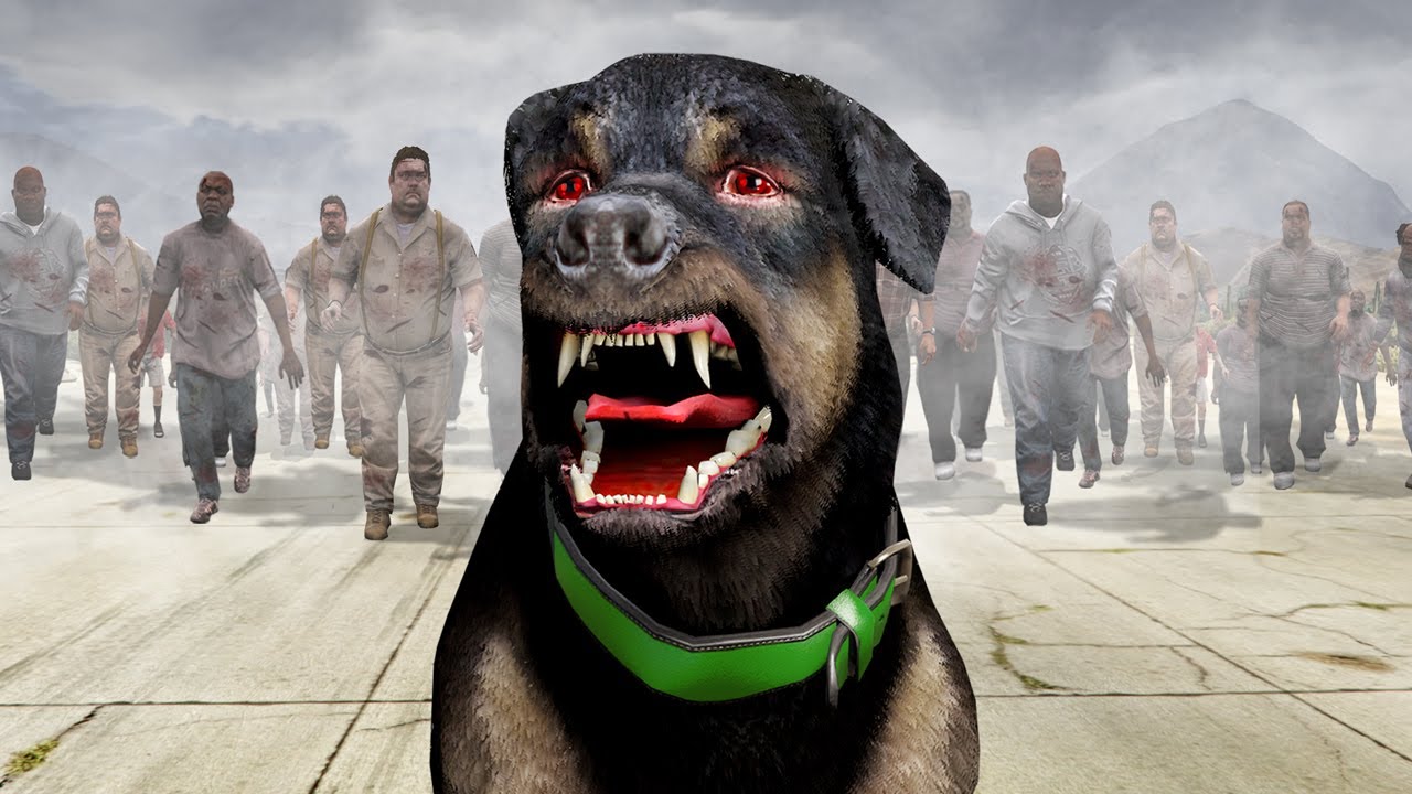 CHOP'S A ZOMBIE in GTA 5! - YouTube