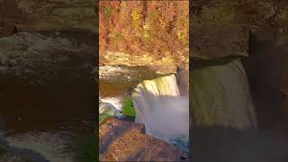 Cumberland Falls in Fall, Kentucky Drone Video
Breathtaking fall scenery surrounding Kentuckys Cumberland Falls.
For licensing or usage request, email: benchildersphotography@gmail.com
Filmed with a DJI Phantom 4 Pro drone. Feel free to message me about drone video production inquiries!
Location:
Cumberland Falls State Resort Park - Corbin, KY
Make sure you subscribe to see more!
Connect with me:
Website - https://benchildersphotography.com
Recreational Facebook - https://www.facebook.com/benlchilders
Commercial Facebook - https://www.facebook.com/benchildersphoto
Instagram - https://www.instagram.com/benchildersphoto
Commercial YouTube - https://www.youtube.com/channel/UC_kN6c16cvS3BXgLJmxXNRg
All visual content shared on this channel is copyright protected by Ben Childers Photography, LLC. (101 S. Main Street, Corbin, KY 40701) and/or other expressly licensed partners. Any unauthorized redistribution of visual content shared on this channel by third-parties may be subject to legal action under, but not limited to, United States copyright law and the WIPO Copyright Treaty (WCT) of the Berne Convention. For questions regarding the licensing of content shared on this channel, please send an inquiry to benchildersphotography@gmail.com
© 2023 Ben Childers Photography, LLC. Cumberland Falls in Fall, Kentucky Drone Video