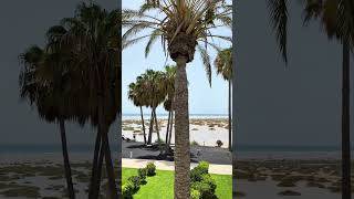 Fuerteventura канарские острова.#fuerteventura #семейныйотдых #атлантика #канарскиеострова #отдых