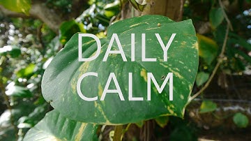 Hypnosis for Breath Mindfulness (Mindful Meditation, Stress Anxiety Relief, Improved Sleep Health)