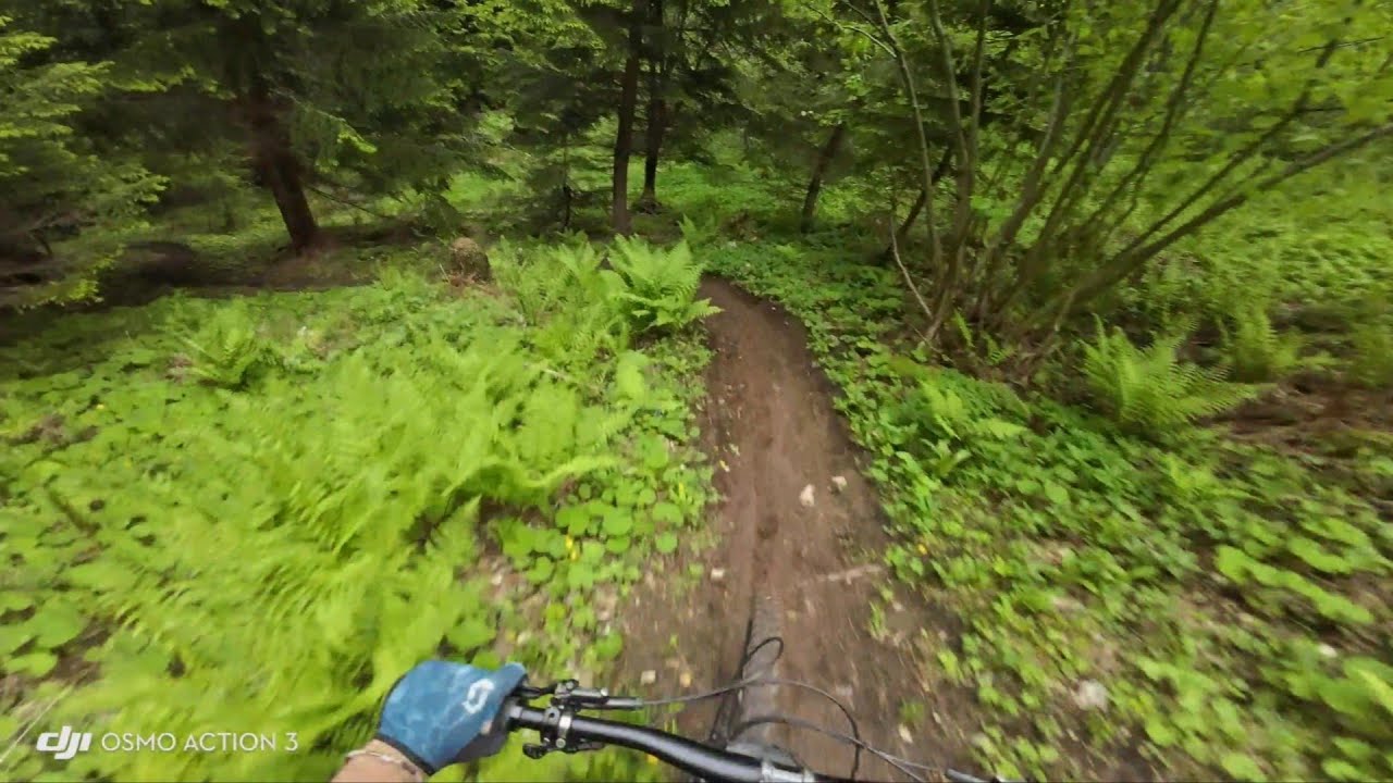 NEW Shakedown Trail | MTB Zone Bikepark Petzen | Opening 2025