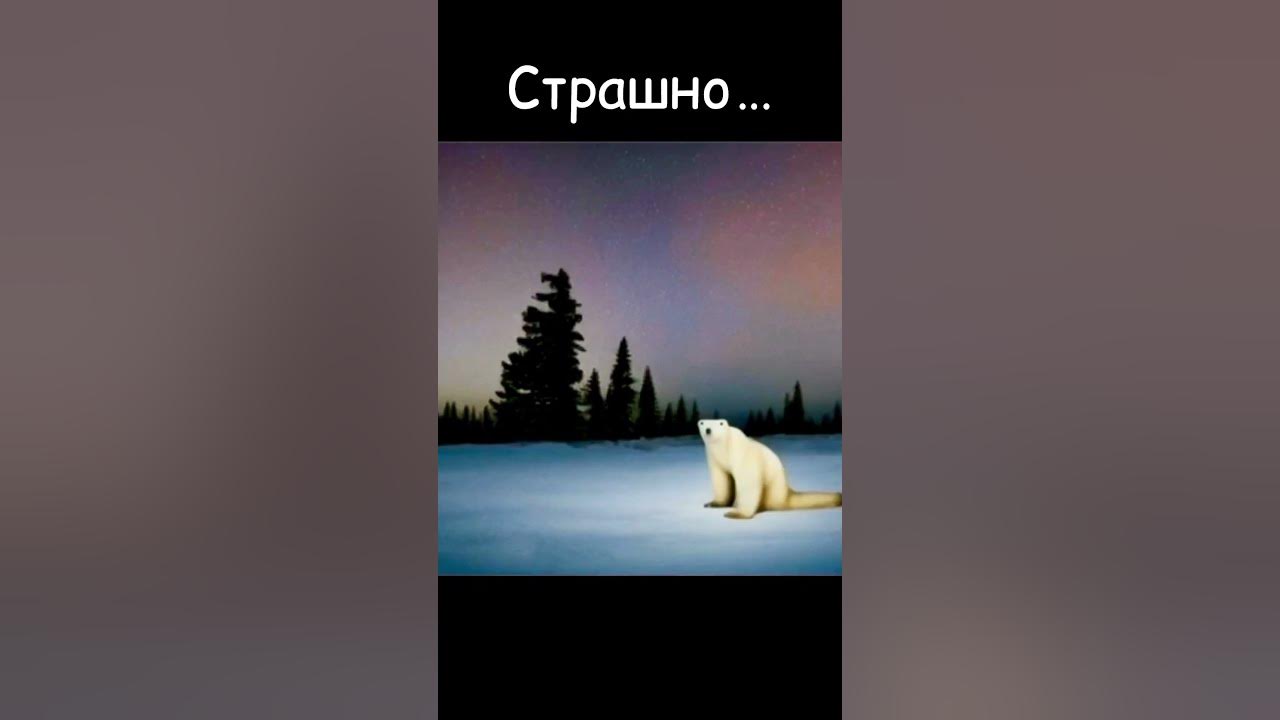 Это точно белый медведь? Мем из 2026 - YouTube