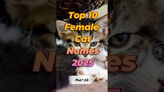 Top 10 Female Cat Names 2025 (Part 2) 🐱✨ | Cute & Trendy Name Ideas! #shorts #catnames #pets2025