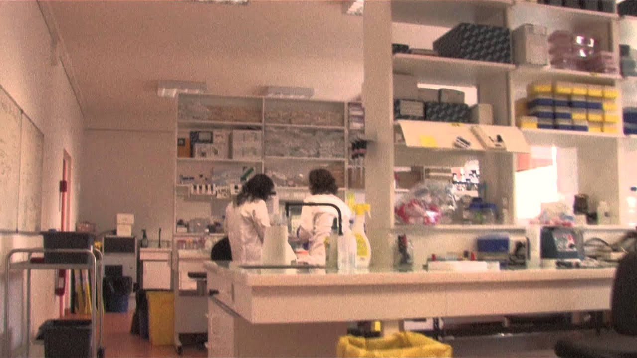 Faculté de Médecine Paris Descartes présentation