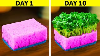 USEFUL GARDENING HACKS FOR SUMMER