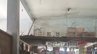 4205 walaa haula walaa quwata illa billahil aliyil adzim