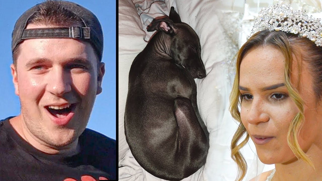 ker, basket, gužva, strast, guada, skejt, pas lutalica, pokretne stepenice, skvizovanje, trening,ker