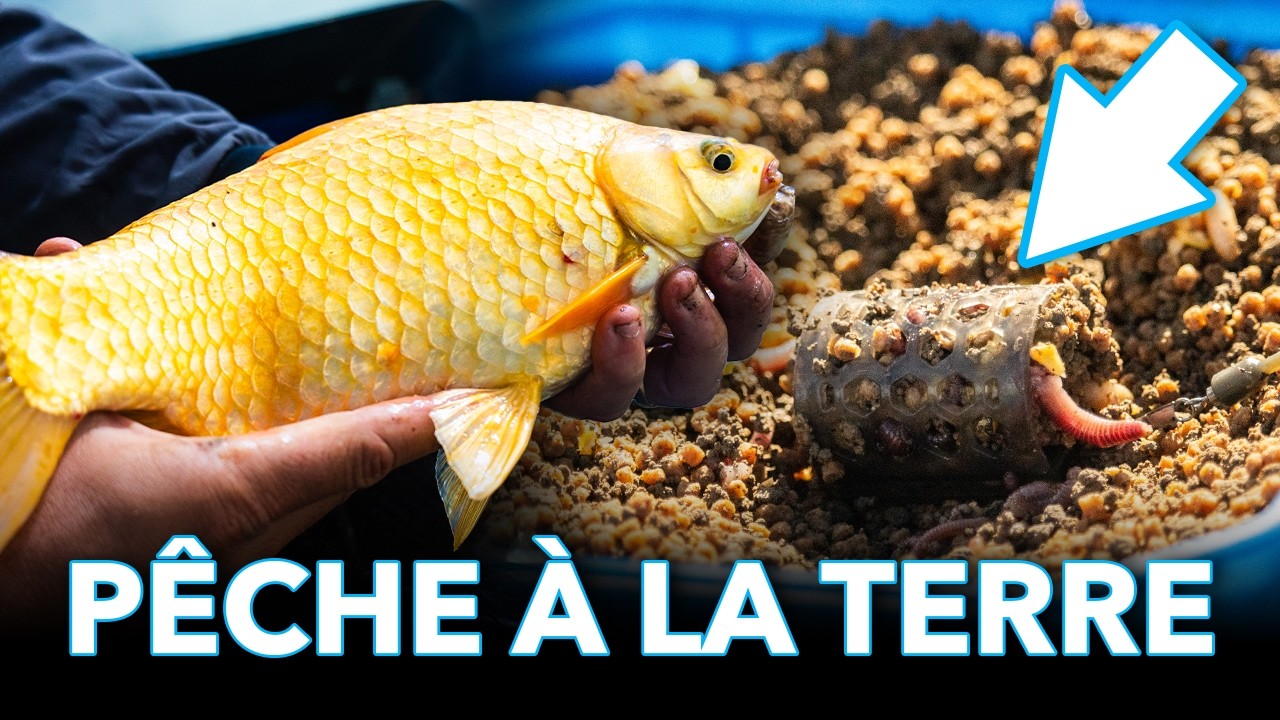 AMORÇAGE À LA TERRE = ON FAIT UNE SUPER PÊCHE !